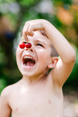 Little boy holds cherries in his teeth - 452648008