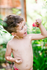 Little Boy is eating Cherries - 452648020