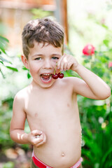 Little Boy is eating Cherries - 452648026