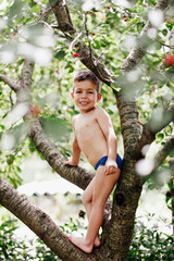 caucaucasian smiling boy with naked torso is standing on the tree in the gardencasian boy with naked torso is standing on the tree in the garden - 452648043