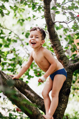 caucasian smiling boy with naked torso is standing on the tree in the garden - 452648050