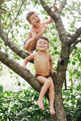 Two twins kids boys with dirty and scratched legs enjoying climbing on tree on summer day. - 452648206