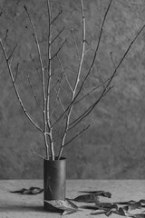 Autumn concept. Minimalism. Branches and leaves on a gray concrete background.
