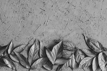 Autumn concept. Minimalism. Branches and leaves on a gray concrete background.