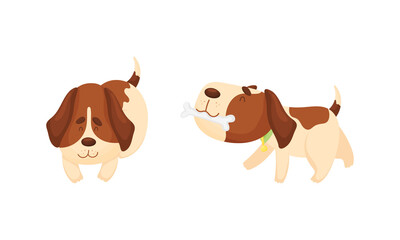 Cute funny beagle dog set. Cute playful pet animal cartoon vector illustration