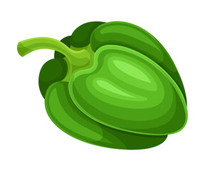 Sweet Green Bell Pepper Vegetable Ingredient for Culinary Vector Illustration