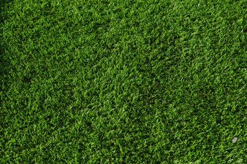 Artificial green grass texture background