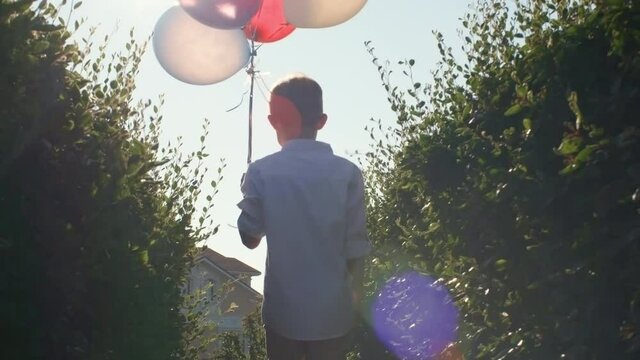 Back view of little boy holding bunch of colorful balloons and walking through green bushes on sunny summer day