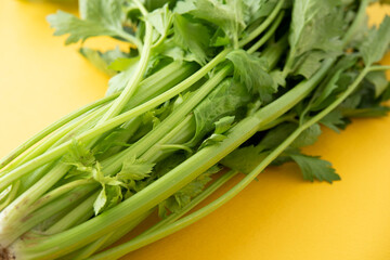 グリーンセロリ