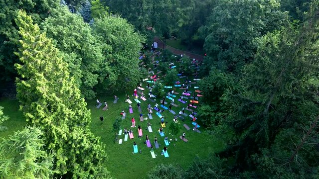group of people doing exercise at city public park