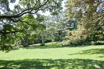 Алупка, парк