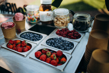 ice cream with different fruits