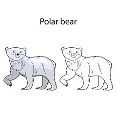 Funny cute animal polar bear isolated on white background. Linear, contour, black and white and colored version. Illustration can be used for coloring book, design template and pictures for children