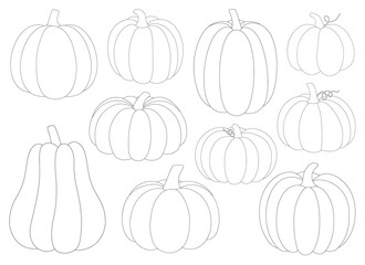 Pumpkins black and white coloring vector illustration