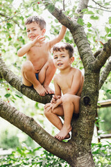 Two twins kids boys with dirty and scratched legs enjoying climbing on tree on summer day. - 452659057