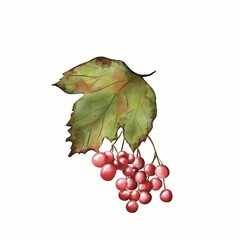 bunch of grapes