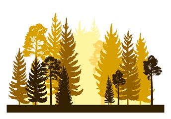 Forest silhouette scene. Landscape with coniferous trees. Beautiful morning view. Pine and spruce trees. Summer nature. Isolated illustration vector