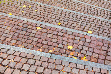 Fototapeta premium Cobblestone road with autumn leaves . Walking in the fall season . Autumn in the city 