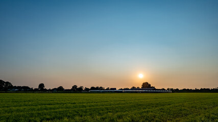 Aerial view with a drone of a spring wavy agricultural countryside landscape with plowed and unplowed fields and trees in the blue evening sky. High quality photo