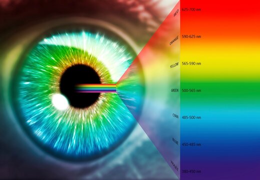 Artwork of human eye and optical spectrum