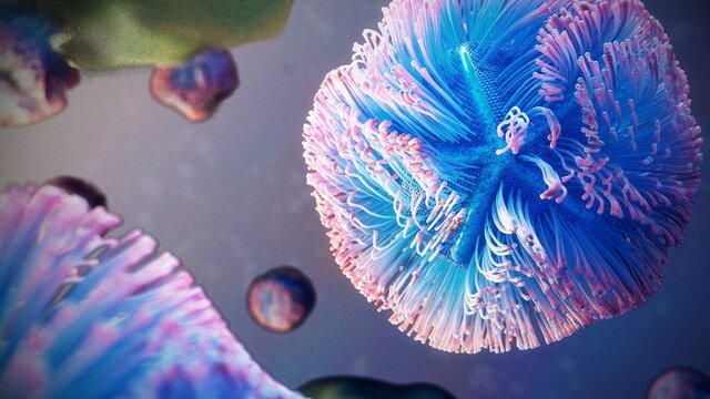 Mimivirus, illustration