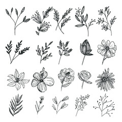 Natural leaf and flower wild art forest collection in line art style