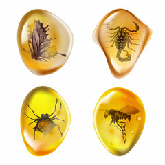 Set amber stone with insects isolated on white background. Collection of ancient and modern insects frozen in amber. Petrous resin for design. Gemstone or mineral bubble.Stock vector illustration