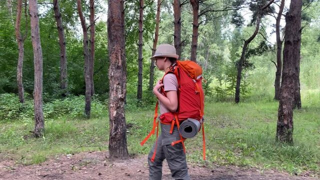 Young caucasian woman is engaged in hiking. A girl with a tourist backpack walks through the coniferous forest