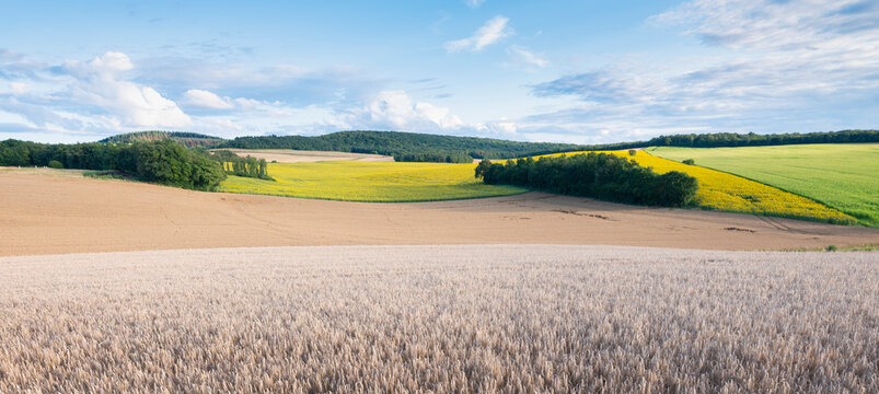 beautiful landscape of french morvan with green grassy fields and forests under blue sky with clouds