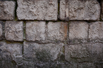 Gray brick wall with moss