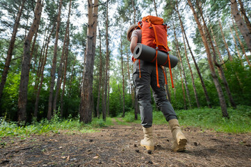 Young caucasian woman is engaged in hiking. A girl with a tourist backpack walks through the coniferous forest