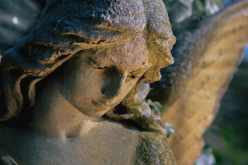 Sweet facial expression of beautiful holy angel illuminated by light against a background of dark foliage.