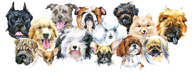 Dogs Collection. watercolor illustration of a different dog breeds Isolated on white.