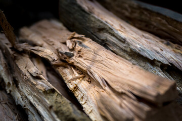 A close up shot of firewood used in a makeshift fireplace for cooking, etc.