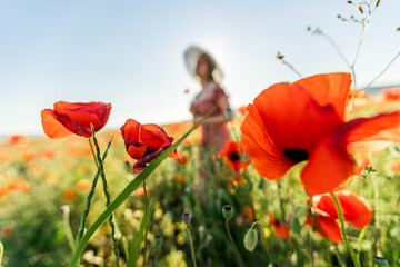 Obraz premium A girl in a poppy field.