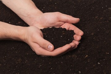 hands holding dirt