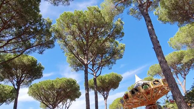 The flying carousel with swinging seats at the amusement park