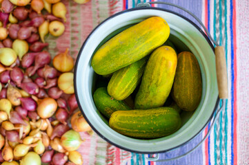 Natural healthy cucumbers in a metal bucket are sold at the farmers' market. A bucket of raw cucumbers in the store. Fresh harvest of vegetables. Healthy food.