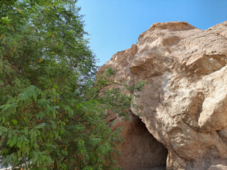 mountains of jabal qara and beautiful trees,saudi arabia.