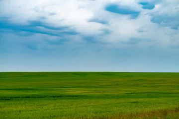 Fotobehang landscape like microsoft window xp © Vitaliy