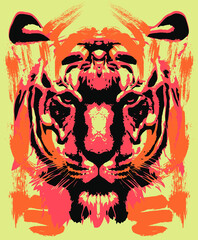 Indian tiger, amur tigers, tigress, Bengal tiger, Bengal tiger, royal Bengal tiger, wildcat - obrazy, fototapety, plakaty