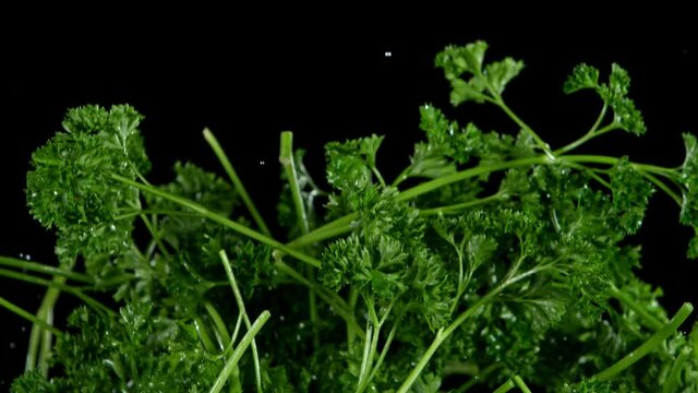 Super slow motion of fresh parsley flying in the air. Filmed on high speed cinema camera, 1000 fps.