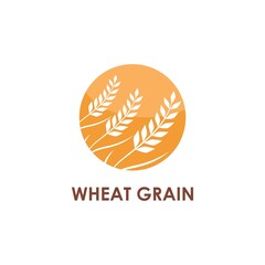 Wheat illustration design