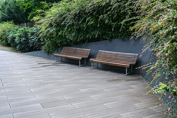 Wood floor with modern garden with empty benches. Background with copy space and concept for futuristic, contemporary city.