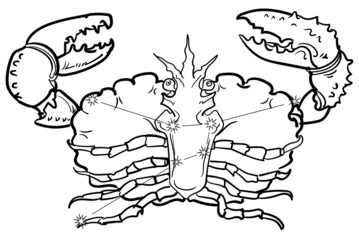 黄道十二星座-かに座の星座線
