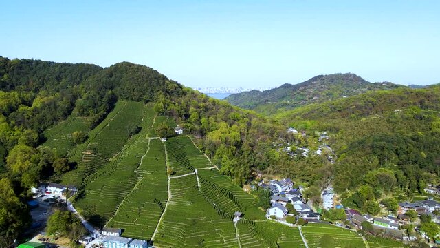 Aerial photography of Hangzhou Longjing Mountain Tea Village