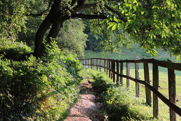  gr20 , randonn&eacute;  