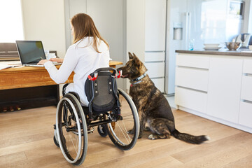 Woman in a wheelchair at the PC with an assistance dog as support