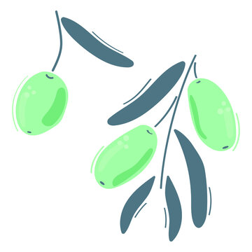 Olives with leaves in modern blue color. Flat illustration.