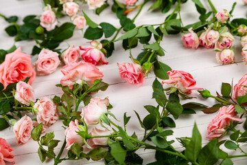 Pink roses on a wooden background.